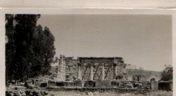 127812759iMHQvg ph.jpg (27 ק"ב) כנ"ל