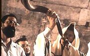 Shofar-a7