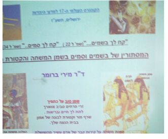 שיקופית מירי ברונר 2.jpg