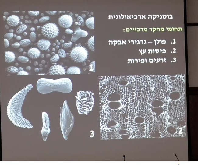 שלוש תחומי המחקר