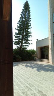 Becbcaa1-c433-4751-a3bb-afd6bbb1a975.jpg