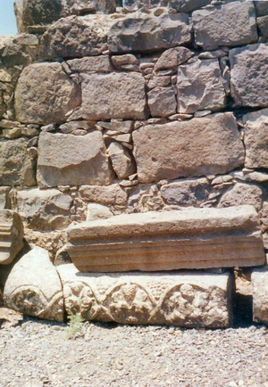 דמויות עם אשכולות ענבים בבית הכנסת צילם: דניאל ונטורה 1985