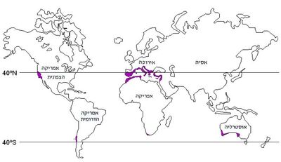 Mediterranian climate