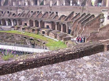 Colloseo 7