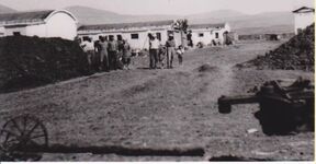 Nechalin 1948