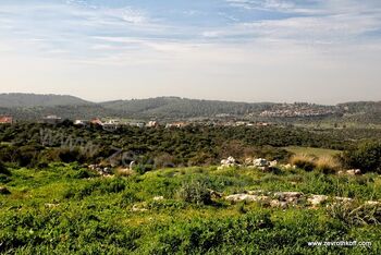 חורבת קנים, גבעת ישעיהו ולי און