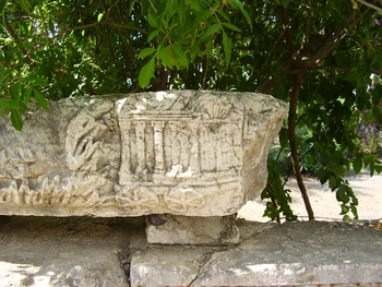 תמונה 983.jpg (680 ק"ב)