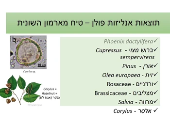 קיסריה