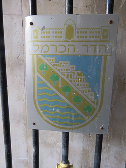 הדר הכרמל.png
