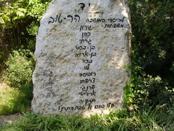 תמונה 1061