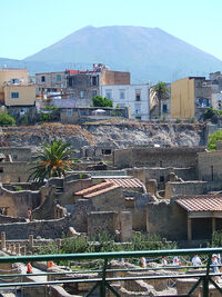 Looking back to Vesuvius