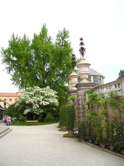 OrtoBotPadova Porta nord