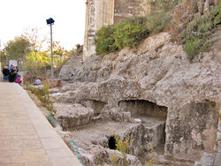  צילמה:תמר הירדני