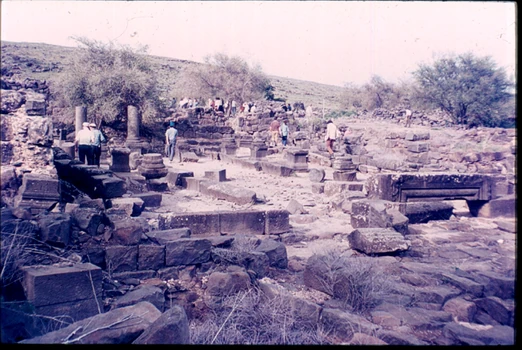 מבט כללי - צילם:דניאל ונטורה