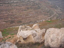 A Rock-Hewn Altar Near Shiloh3