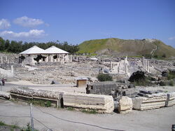 BetShe'an - view of archeological park from entry