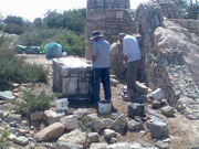 תמונה467.jpg