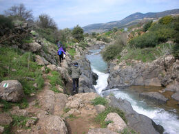 Saar-river