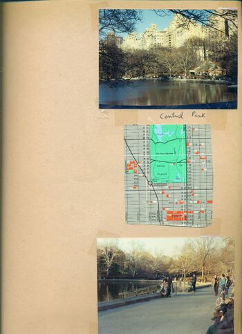 Central park 444.jpeg