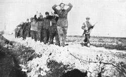 Brigada55