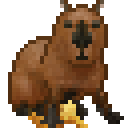 Zig's Capybara | Dank Memer Wiki | Fandom
