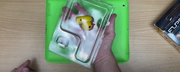Duck in box