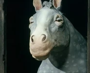 Alfredhorse.jpg (96 KB) Alfred (Voiced by Allan Bardsley)