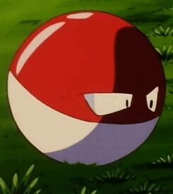 Voltorb, International Pokédex Wiki