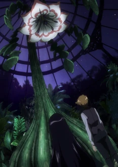 Wesley's The Queen of the Night.