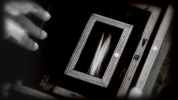 The girl finds her strand of hair inside the box.