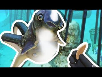 Dantdm fish sale