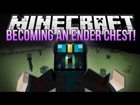 Dantdm minecraft on sale hide and seek