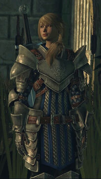 Warden Commander armor set, Dragon Age Wiki, Fandom