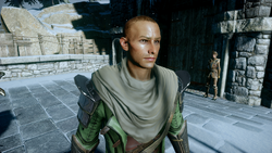 Fen'virna Mahariel, Dragon Age OC Emporium Wiki