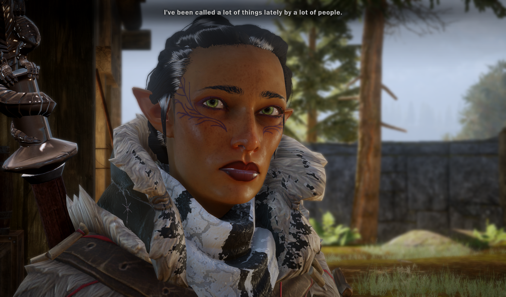 Aeducan, Dragon Age Wiki, Fandom