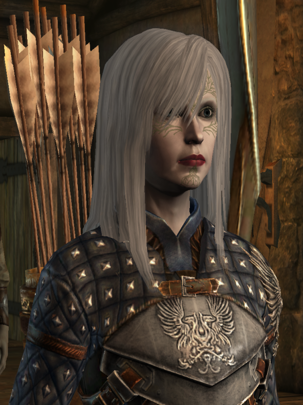 Lady Insanity – Ashe's Favorite Dragon Age: Origins Mods