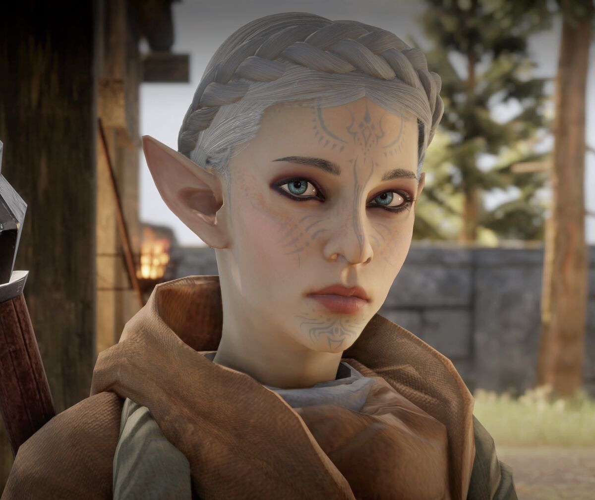 Watcher, Dragon Age Wiki