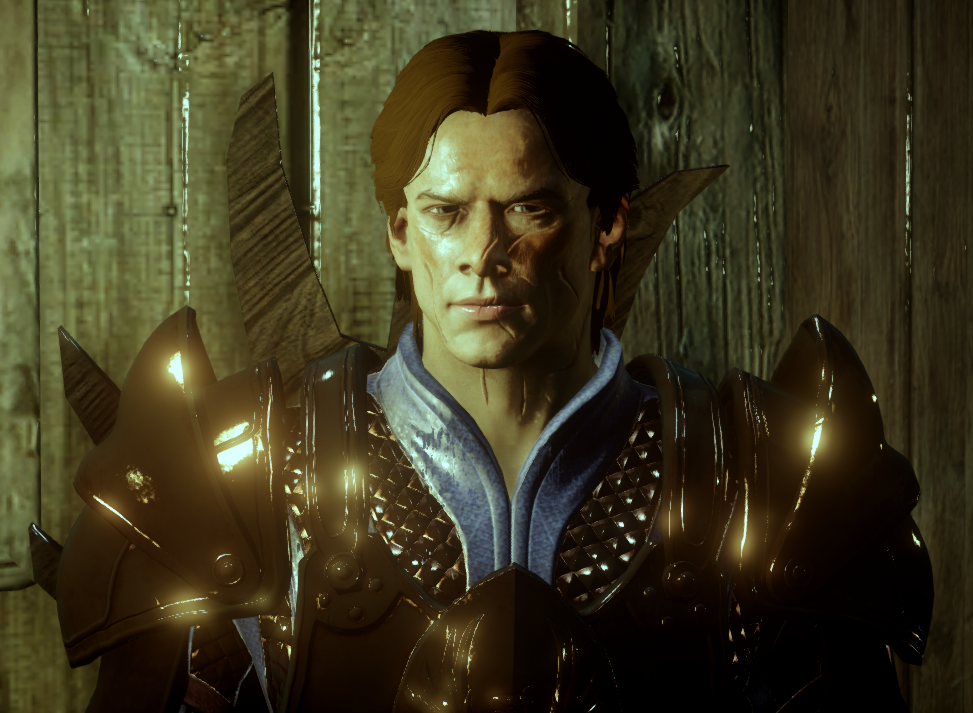 The Male Cousland Warden.  Dragon age origins, Dragon age series