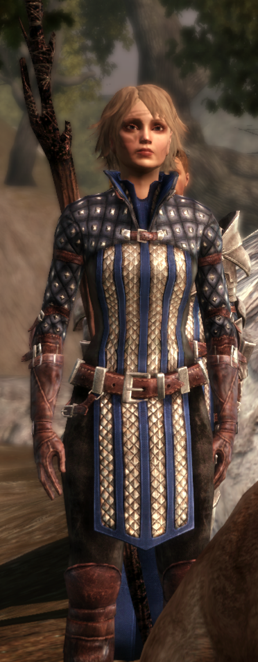 About to beat the game on my elven arcane warrior mage (first image) and  the second warden will be my new PT after the mage. : r/DragonageOrigins