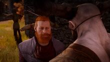 Dragon Age™ Inquisition 20171118185328