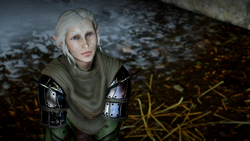 Aerinwyn Mahariel, Dragon Age OC Emporium Wiki