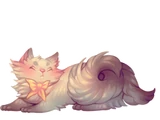 Creamfluff Cat