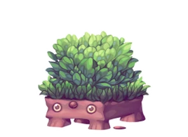 Ferngras unevolved image.