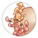 Peach Face Flowers thumbnail.