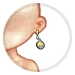 Clione's Green Shell Earrings thumbnail.