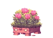 Tulipegras thumbnail.