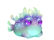 Petal Rainfrog thumbnail.