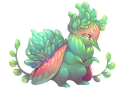 Grove Beetle thumbnail.