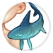 Shark Friend Image