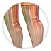 Striped Stockings thumbnail.